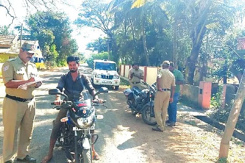 03 HNL 2