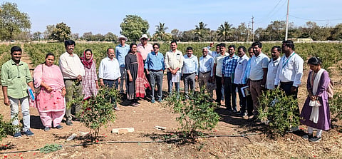 ಬೆಳಗಟ್ಟಿ ಗ್ರಾಮದ ಜಮೀನಿನಲ್ಲಿ ವಿಶ್ವ ಬ್ಯಾಂಕ್ನ ಪರಿಶೀಲನೆ ತಂಡ ವಿಶ್ವ ಬ್ಯಾಂಕ್ ನೆರವಿನ ರಿವಾರ್ಡ್ ಯೋಜನೆ ಮಾಹಿತಿ ಸಂಗ್ರಹಿಸಿತು. ತಂಡದ ಮುಖ್ಯಸ್ಥ ಎ.ವಿ.ಮೂರ್ತಿ, ಸದಸ್ಯರಾದ ಡಾ.ನಟರಾಜನ್, ಡಾ,ಕುಲುರಾಜನ್, ಡಾ.ರಾಜೇಂದ್ರ ಹೆಗ್ಗಡೆ, ಬೆಂಗಳೂರಿನ ಜಲಾನಯನ ಇಲಾಖೆಯ ಉಪ ಕೃಷಿ ನಿರ್ದೇಶಕಿ ಗೀತಾ ಹಳ್ಳಿ, ಕೊಪ್ಪಳ ಜಂಟಿ ಕೃಷಿ ನಿರ್ದೇಶಕ ಟಿ.ಎಸ್.ರುದ್ರೇಶಪ್ಪ, ಉಪ ಕೃಷಿ ನಿರ್ದೇಶಕ ಜಿ.ಎಮ್.ಸಿದ್ದೇಶ, ಸಹಾಯಕ ಕೃಷಿ ನಿರ್ದೇಶಕ ಜೀವನಸಾಬ ಕುಷ್ಟಗಿ ಇತರರಿದ್ದರು.