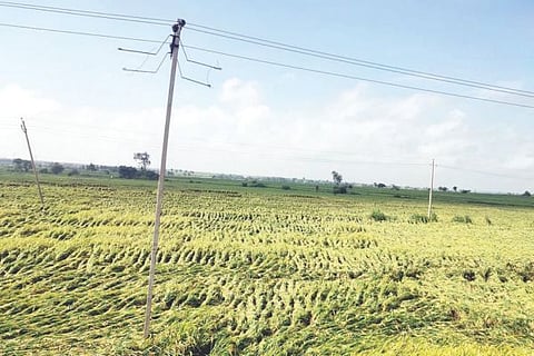 17 KRT SHARNAPPA 01