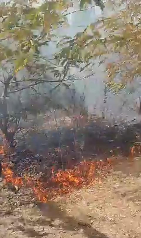 25 Kuragunda Fire C