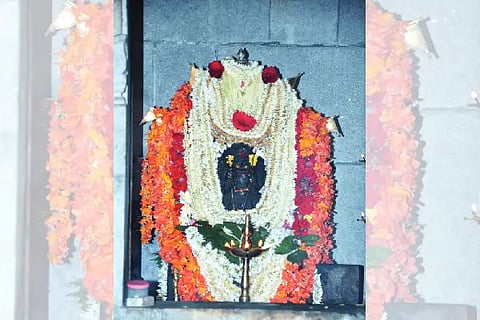 AMMA