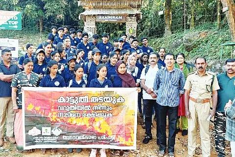 Bdk_Forest 08