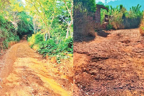 Bdk_Toombadka Road