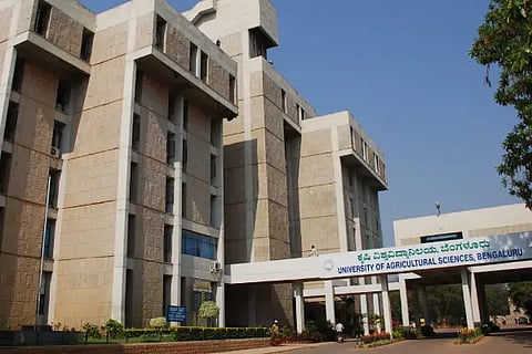 agri vv