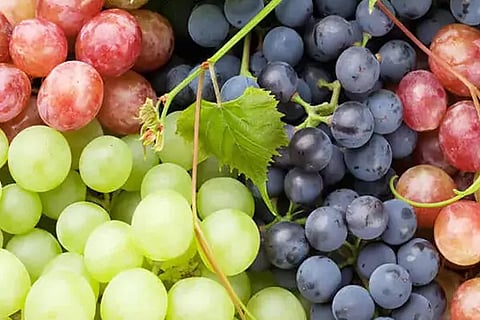 Grapes