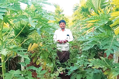 myk tarakari