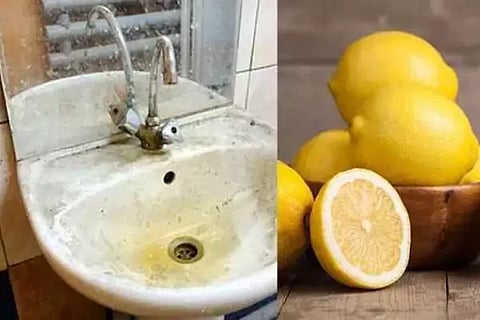 Wash Basin