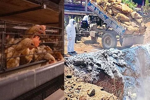 ವಿಜಯವಾಣಿ (49)