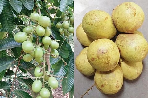ವಿಜಯವಾಣಿ (9)