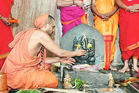 2 ylp 1