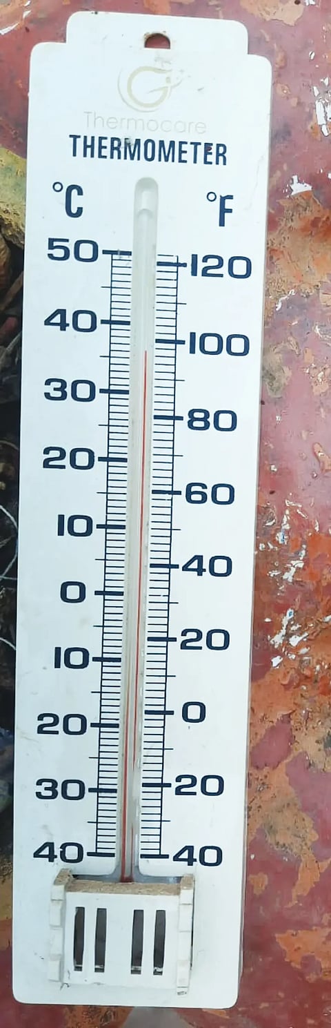 2sirsi1- TAPA