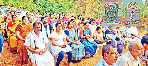 31bkl vadera muth