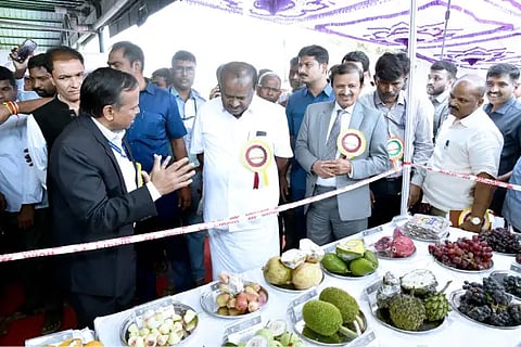 HDK
