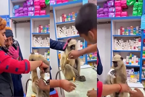 Monkey FirstAid