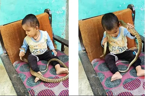 Snake Boy