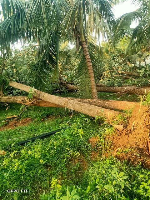 ತಿ ನರಸೀಪುರ ತಾಲೂಕಿನ ದೊಡ್ಡಮುಲಗೂಡು