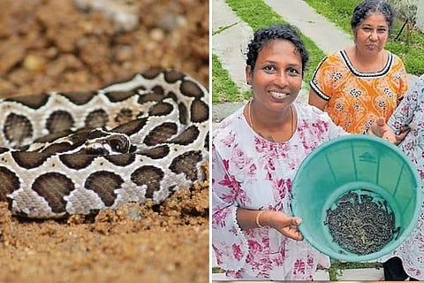 ವಿಜಯವಾಣಿ (46)