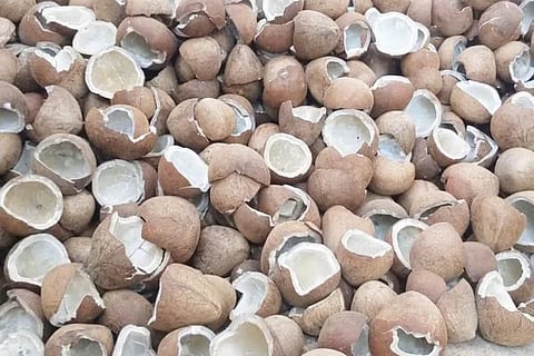 ವಿಜಯವಾಣಿ (6)