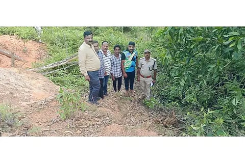 18-SIRSI-3 CHITHA