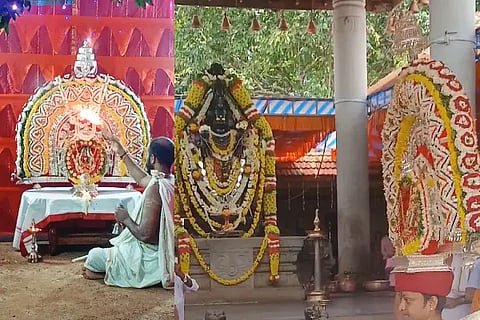 New Project (26)