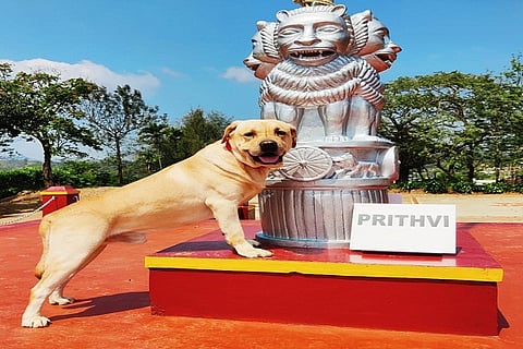 Pruthvi