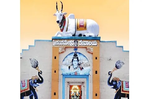 Ron Sangamesh