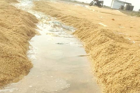 Sirwar pady crop rain loss