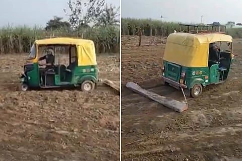 Video Viral