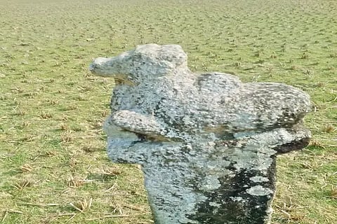 sri nandi
