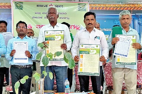 Follow intercropping system