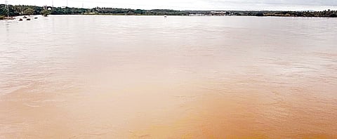 ಅರಸೀಕೆರೆಯಲ್ಲಿ ಜಿಟಿಜಿಟಿ ಮಳೆ