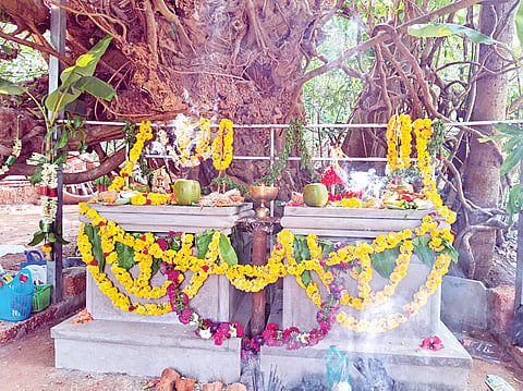 ಭಕ್ತಿಯ ಕೇಂದ್ರವಾದ ಶಕ್ತಿದೇವತೆಗಳ ಬನ