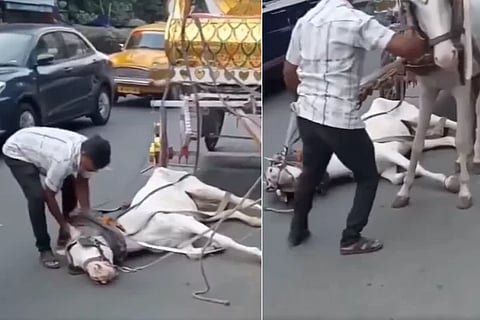 Video Viral