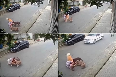 Video Viral