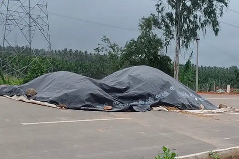 bdvt rain