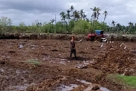 krishi