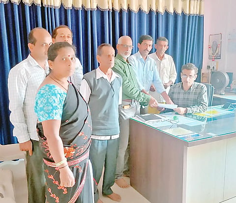ylp manavi