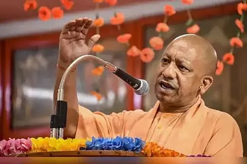 yogi