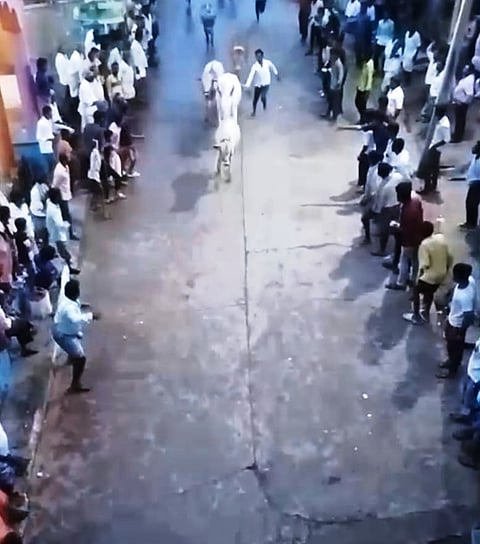 MDG KARI