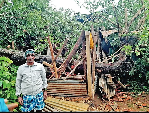 SIRSI RAIN
