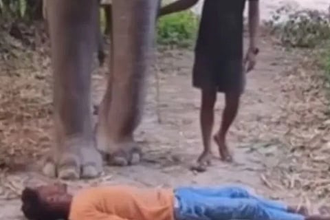 elephant people