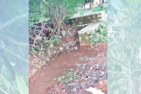 hebri