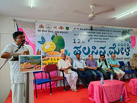 jack fruit program