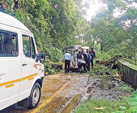 ಚಿತ್ರ 10ಎಸ್ ಡಿ ಪಿ 01