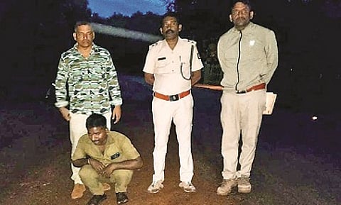 ಅರಣ್ಯ ಅಧಿಕಾರಿಗಳು ಬಸ್ ಚಾಲಕನನ್ನು ಬಂಧಿಸಿರುವುದು.