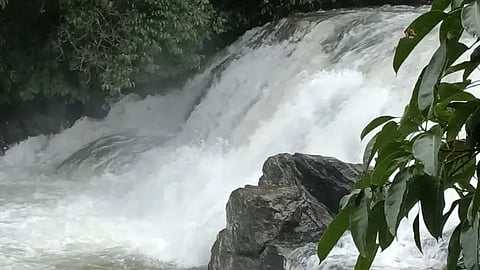 21hos1p abbi