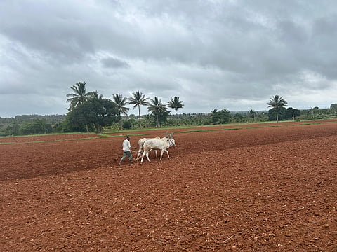 IMG-20250526-WA0173.jpg