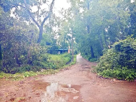 handadi