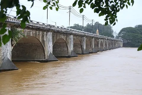 rain