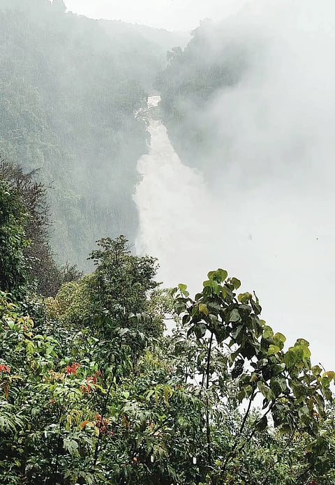 sdp Unachalli falls